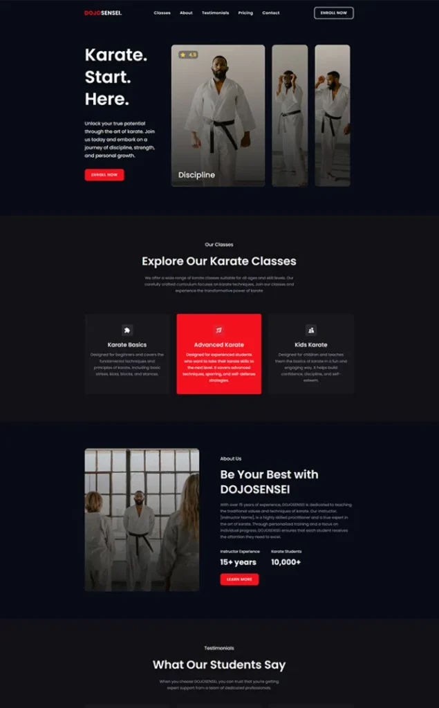 Modèle de site Dojosensei — WordPress par WPUltime