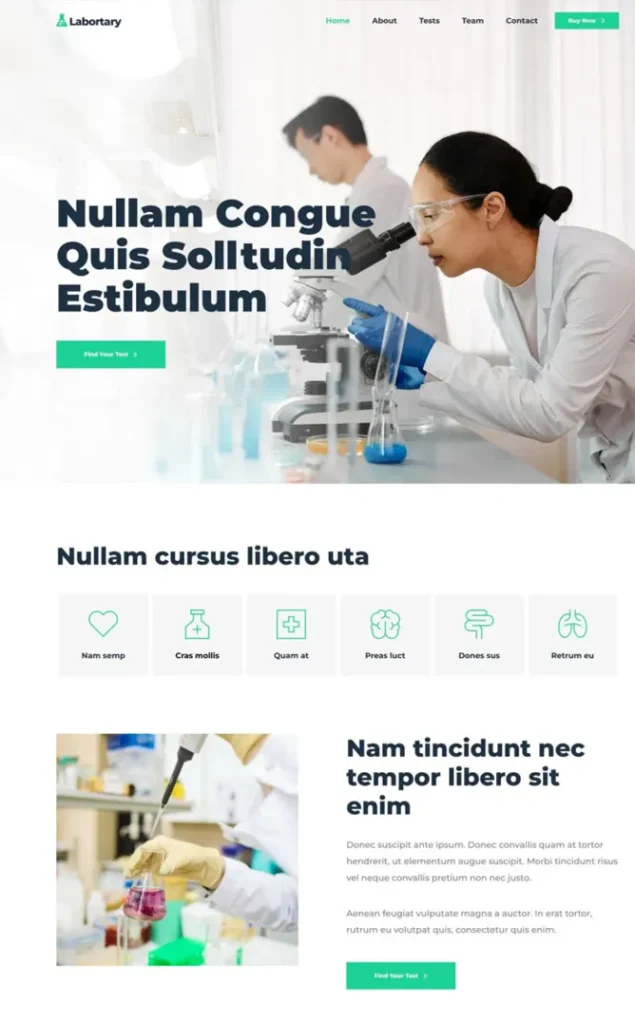 Modèle de site Image 8 — WordPress par WPUltime