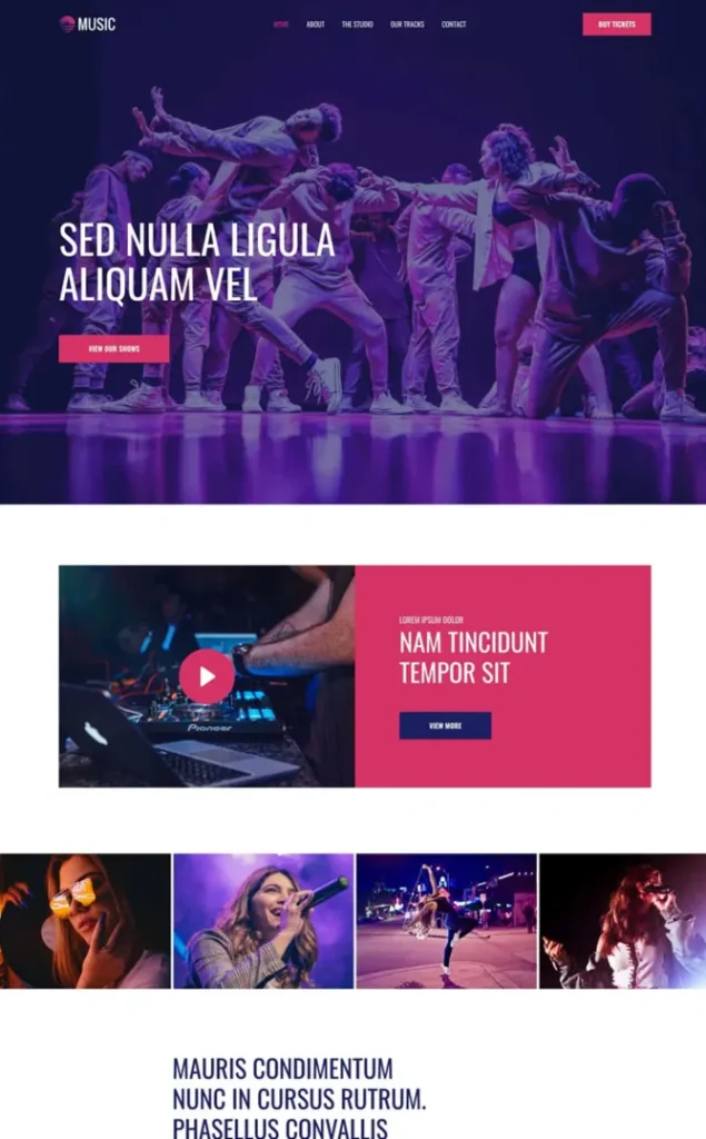 Modèle de site Image 2 6 — WordPress par WPUltime