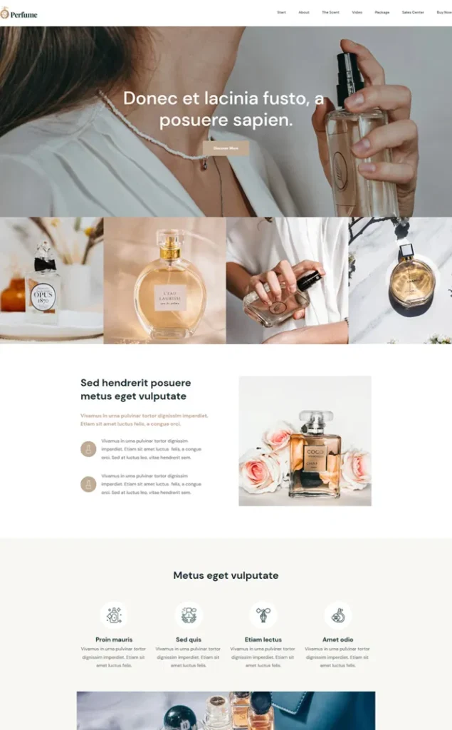 Modèle de site Parfum — WordPress par WPUltime
