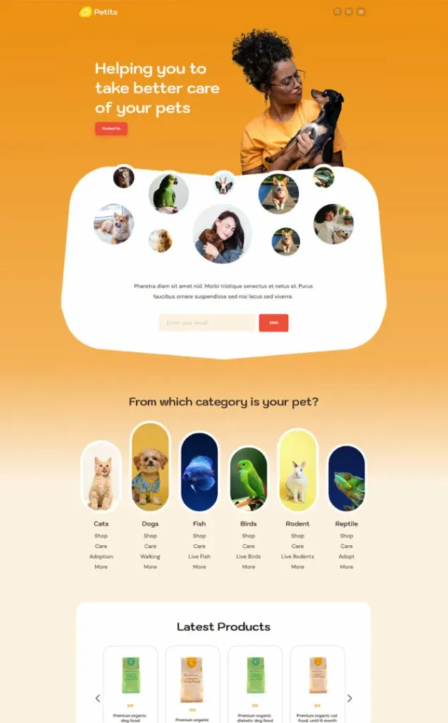 Modèle de site Image 3 — WordPress par WPUltime
