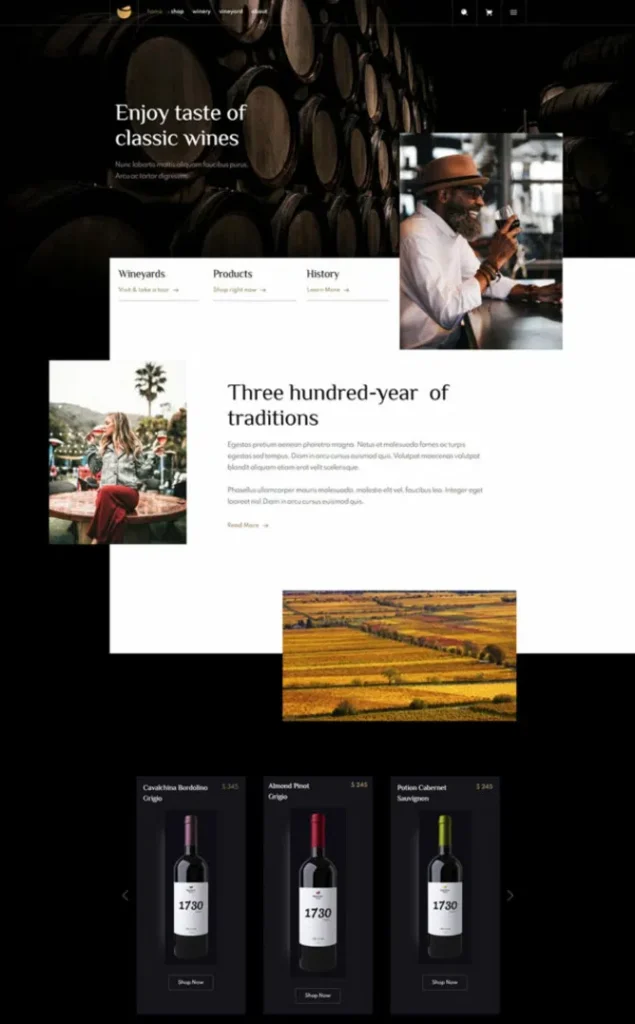 Modèle de site Image 2 2 — WordPress par WPUltime