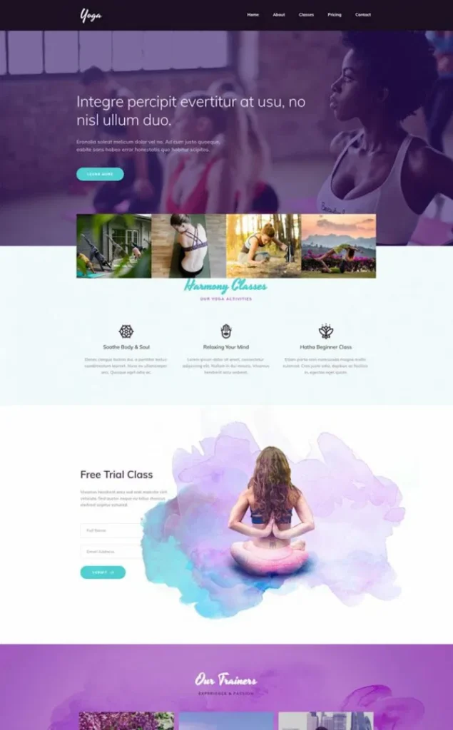 Modèle de site Image 10 1 — WordPress par WPUltime